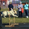 Актуально