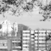 Noderīgi