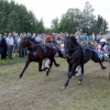 Спорт
