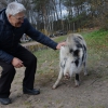 Наши земляки