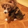 Точка зрения