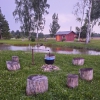 Dzīvestāsti