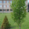 Noderīgi