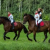 Noderīgi