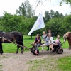 Dzīvestāsti