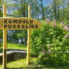 Kultūra