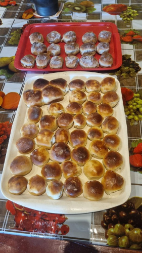 Aulejis kļockys, sorkonajā papluotē-vegetaruos, kurūs autore Anita Narovska, 2022.g.